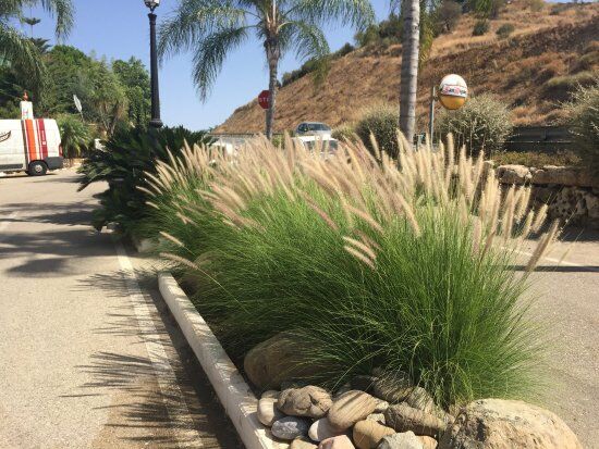 Vivero Casa De Las Flores