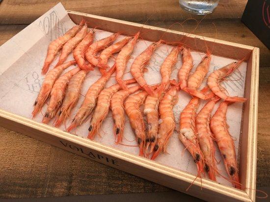 Taberna del Volapié Torremolinos