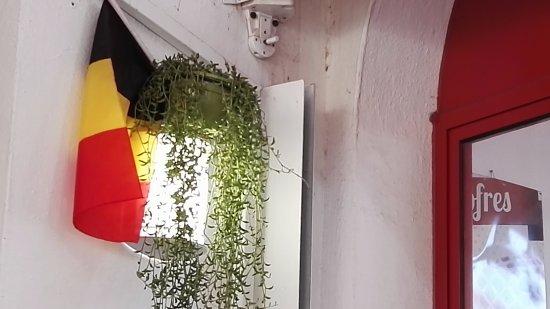 LA TABLA Puerto Cabopino