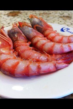 Cervecería Mara puerto de sotogrande