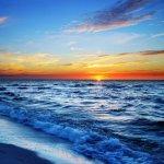 Restaurante Chino La Casa Del Bambu