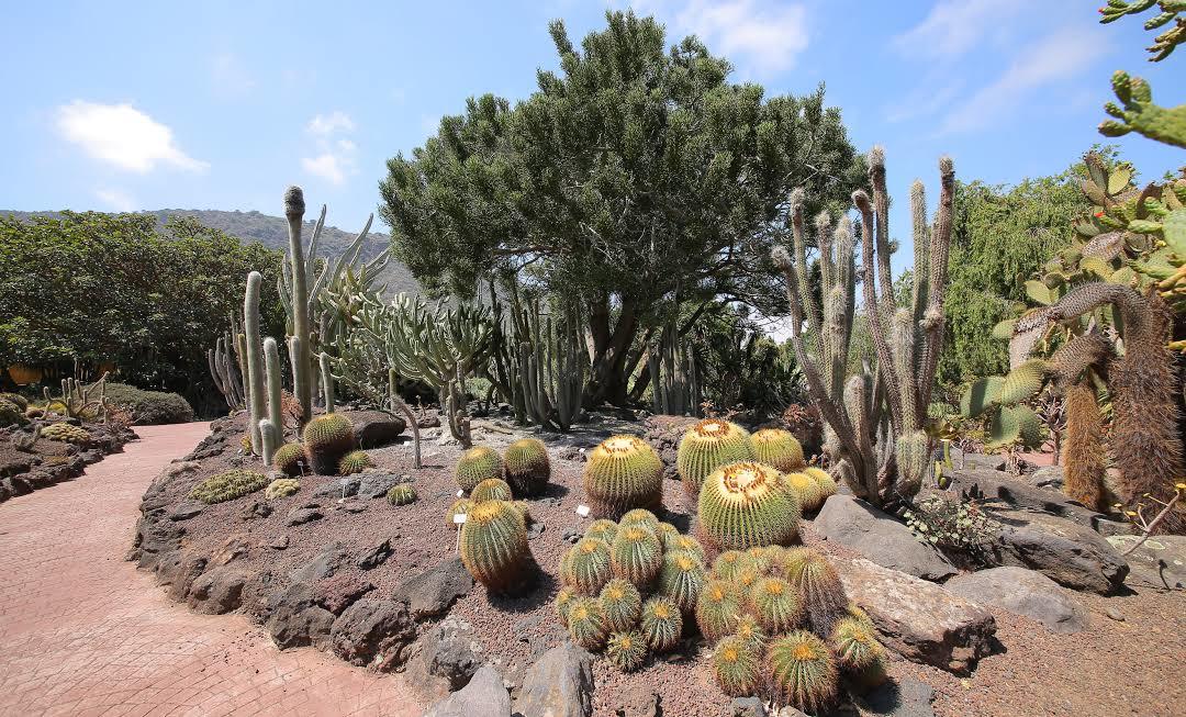 Jardín Botánico Histórico La Concepción