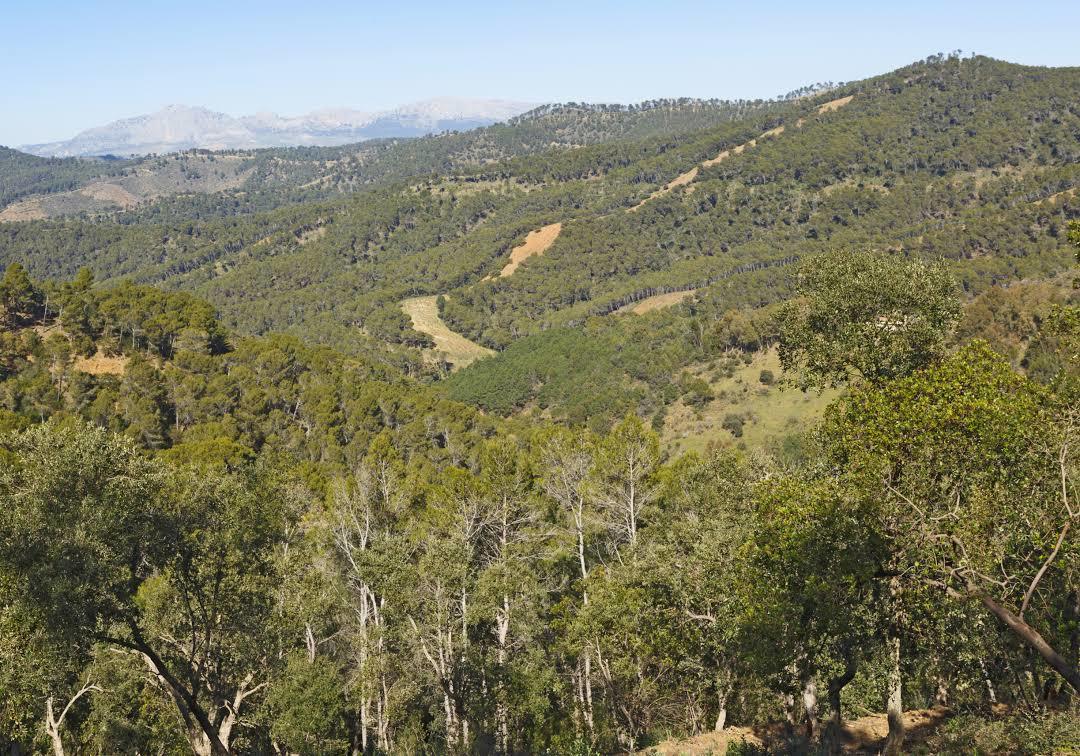 Parque natural Montes de Málaga