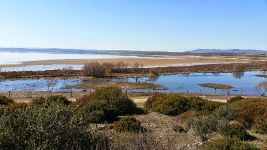 Estación de Fuente de Piedra