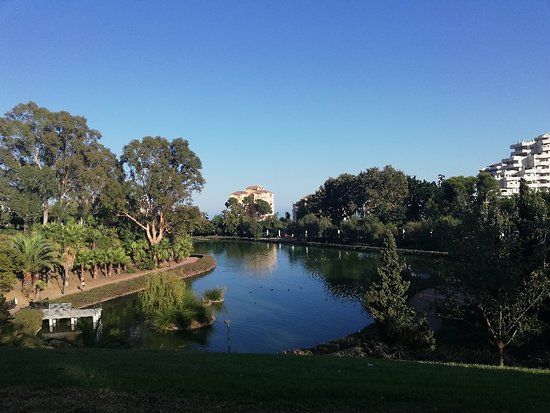 el parque de la paloma